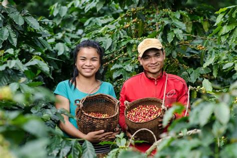 find  ethically sourced coffee ethical zest
