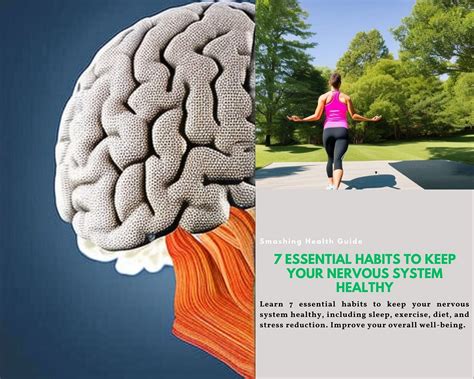 7 Essential Habits To Keep Your Nervous System Healthy By Jamescurley