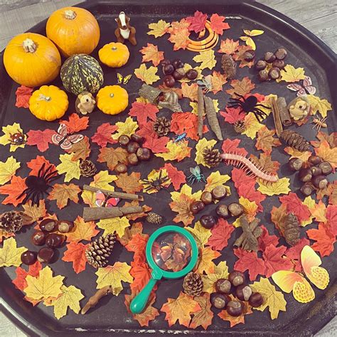 How To Make A Fall Sensory Bin Artofit