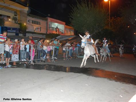 Histórias e Cenários Nordestinos Festival Nacional de Jericos Panelas PE