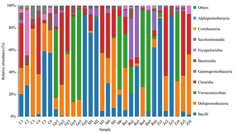 16S 18S ITS Amplicon Sequencing PacBio