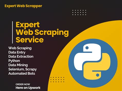 Expert Web Scraping Data Extraction Data Mining Services Upwork