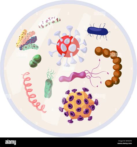 Bacteria Kill Symbol Control Infection Germ Kill Infection Icon