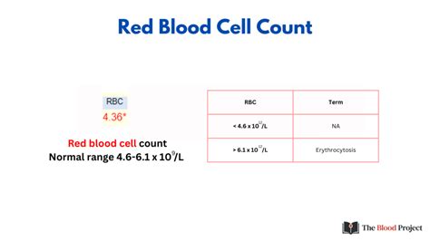 Rbc Count The Blood Project