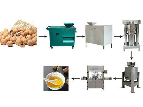 Walnut Oil Press Machine Cold Press Walnut Oil Extraction Machine