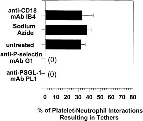 Role Of The P Selectin Psgl Bond In Neutrophil Tether Formation With