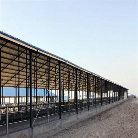 Steel Structure Building Cow Cattle Sheep Farm Building Steel Shed