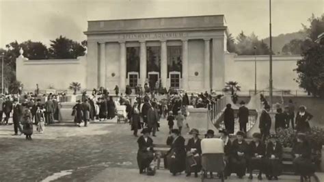 History of Steinhart Aquarium - California Academy of Sciences