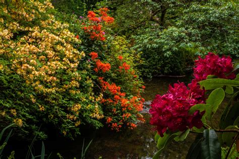 Stobo Japanese Water Garden