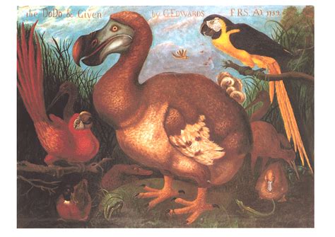 dodo Archives - Lewis Carroll Society of North America