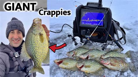 Insane Giant Crappie Action Early Ice Fishing Wisconsin Youtube