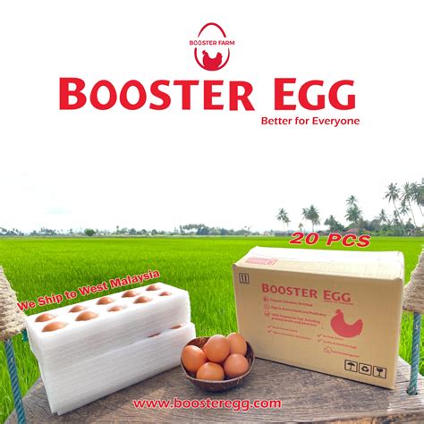 Booster Egg (20pcs) – Booster Egg