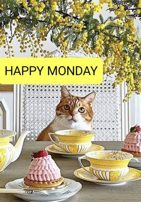 Pin by Witchai on การบนทกอยางรวดเรว Hello monday Happy monday