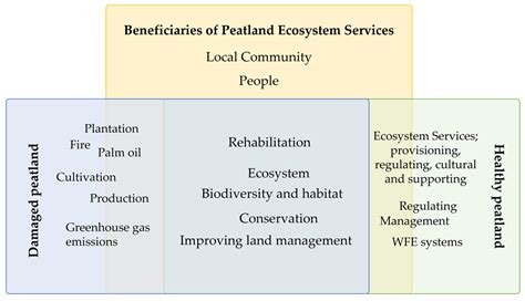 Land Free Full Text Synthesizing Recent Trends In Interventions And