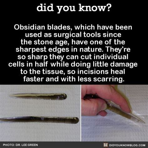 Obsidian Blades Which Have Been Used As Surgical Tools Since The Stone