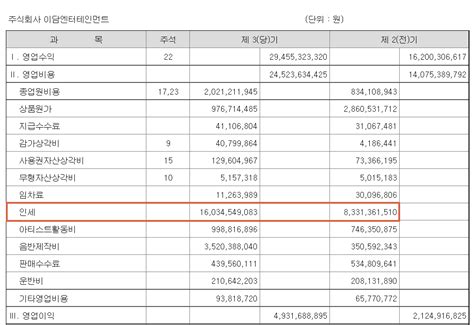 재무제표로 본 아이유