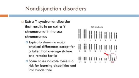 Pedigrees Karyotypes And Genetic Disorders Ppt Download