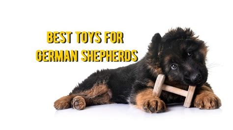 Best Toys for German Shepherd: TOP Toys for German Shepherds Dogs