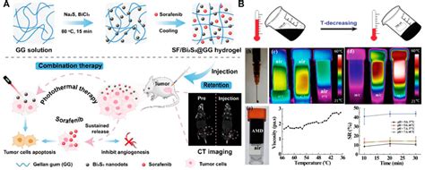 Frontiers Photothermal Nanohybrid Hydrogels For Biomedical Applications