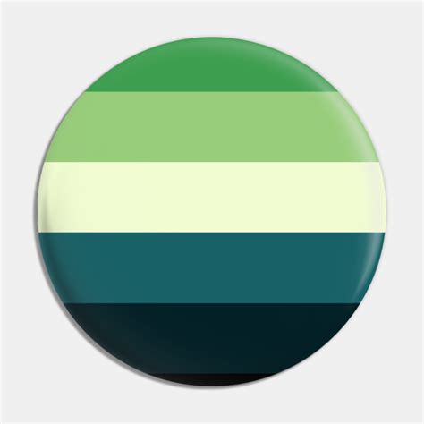 Aromantic Spectrum Basic Large Pride Flag Lgbtqa Pin Teepublic