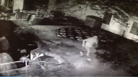 WATCH | Vandals cause thousands in damage at Charleston Children's Museum