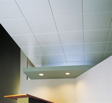 Star Dreams Homes: Acoustic Ceiling Tiles