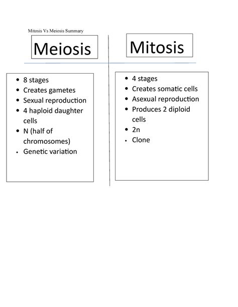 Mitosis Vs Meiosis Chart Worksheet