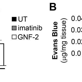 Abl Kinases Are Required For Vegf Induced Vascular Permeability In