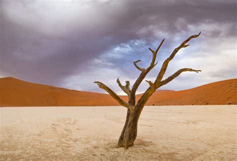 Namibia: Mecca for Landscape Photographers - Penda Photo Tours