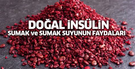 Sumak Ve Sumak Suyunun Faydalar Nelerdir Kaynat P Suyunu I Ince