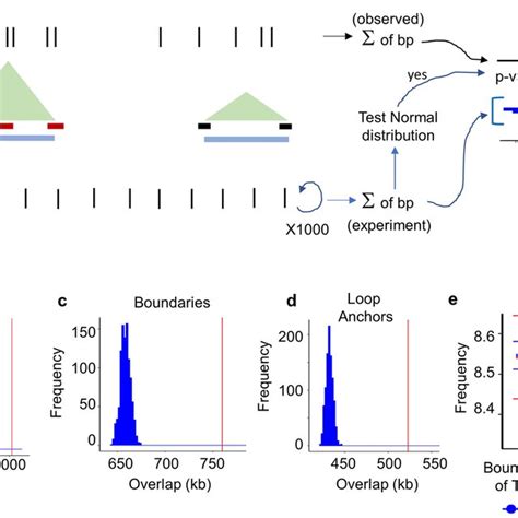 Lncrnas Expression Patterns And Their Triplex Forming Sites A Download Scientific Diagram