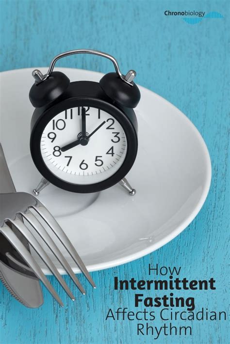 Impact of Diet and Intermittent Fasting on Circadian Rhythm