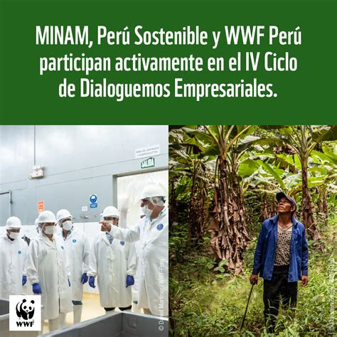 Minam Per Sostenible Y Wwf Per Participan Activamente En El Iv Ciclo