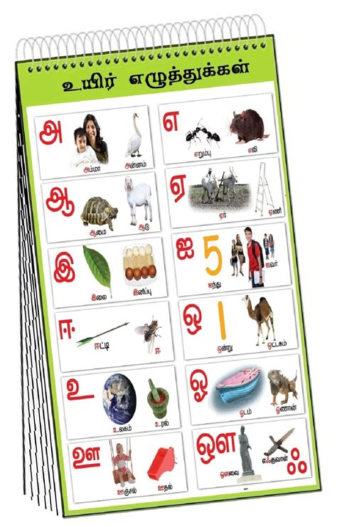 Teachingnest Tamil Alphabet Chart Laminated 33x48 Cm 13x19 Inch Wall