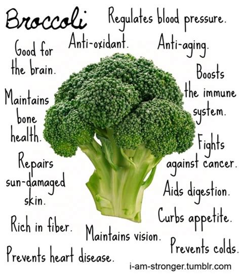 Health Blog — Health Benefits of Broccoli – Broccoli for...