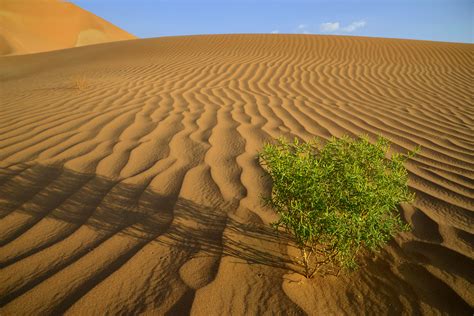 Rub' al Khali - Ripple Marks (4) | Dhofar | Pictures | Oman in Global ...