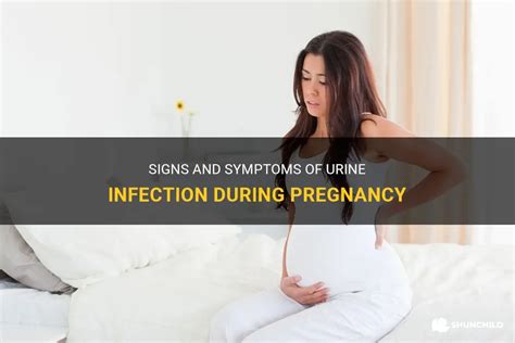 Signs And Symptoms Of Urine Infection During Pregnancy | ShunChild