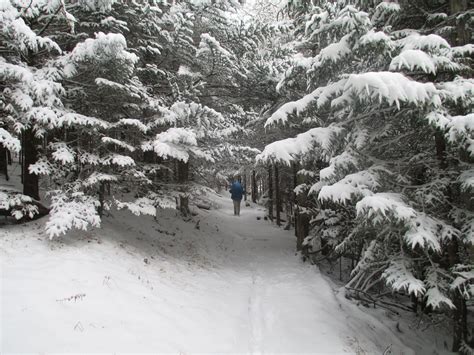 Appalachian Trail Part David Warners Flickr