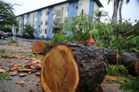 Forte chuva derruba árvores e trânsito fica congestionado em Manaus