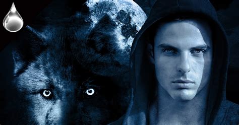 Clares Blog 2 The Haven Wolfs Blade Just Got The Reviewers Choice