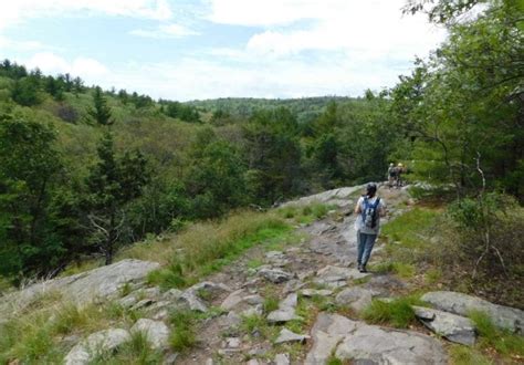 END TO END: ON THE BLUE HILLS' SKYLINE TRAIL - Dig Bos (1999-2003)