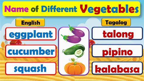 Vegetables English And Tagalog Learn The Different Name Of