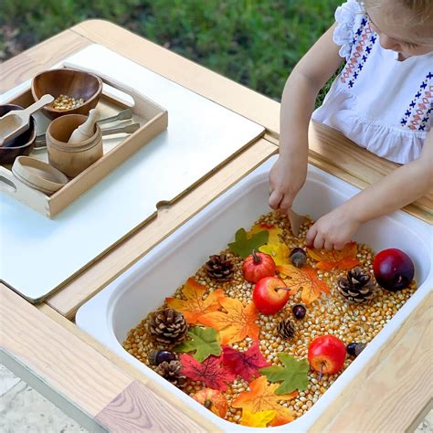 Fall Activity for Toddlers - Easy Autumn Sensory Bin for 3 Year Olds