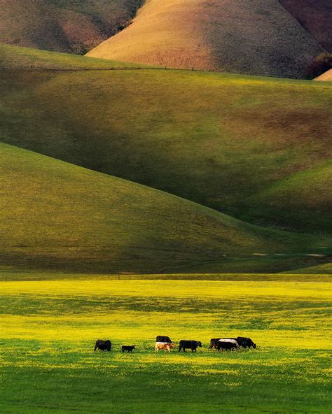 247 best East Bay Area images on Pholder | Bayarea, Trailrunning and