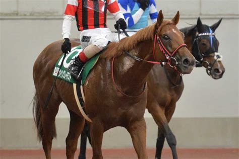 【中京記念】ウイングレイテスト4着 松岡騎手「次は馬具を考えてみたい」｜競馬ニュース｜競馬予想のウマニティ