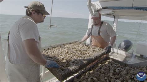 Kiwanis Club Learns About Chesapeake Bay Oyster Aquaculture Nccos Coastal Science Website