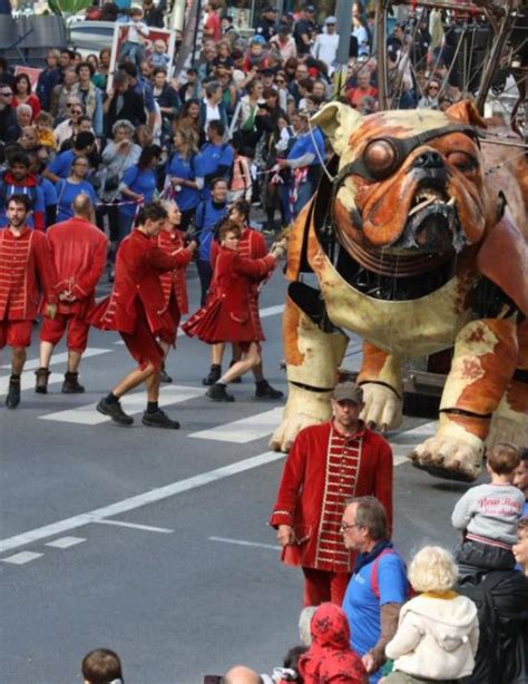 Discover The Pictures Of The Show Le Bull Machin De Villeurbanne