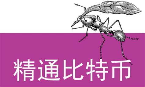 《精通比特币》第七章“区块链”解读——区块链基础知识篇 知乎