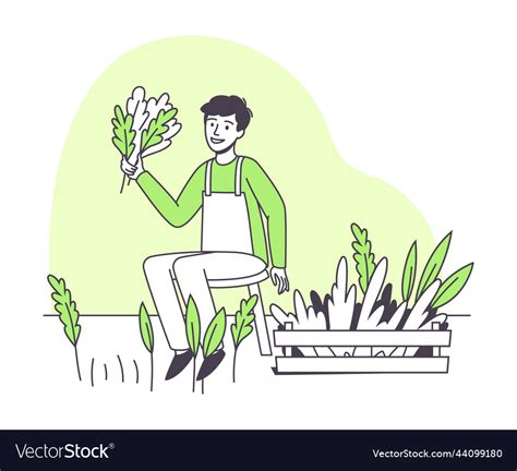 Man Farmer Character Harvesting Vegetable Crop Vector Image