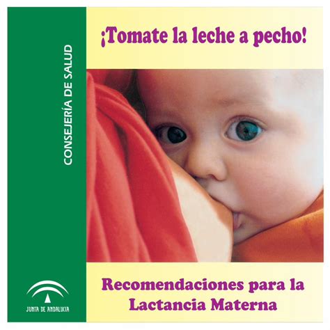 PDF Recomendaciones Para La Lactancia Materna 2018 8 23 La